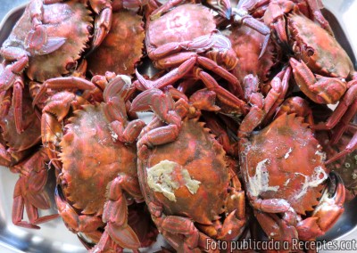 Marisc fresc bullit (nècores, bous de mar, escamarlans i peus de cabra comú o percebes)